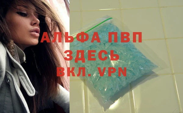 прущий лед Дмитровск