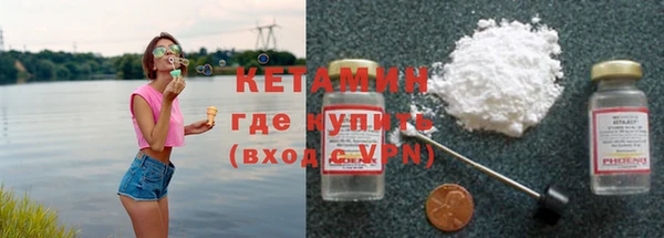 гашик Дмитров