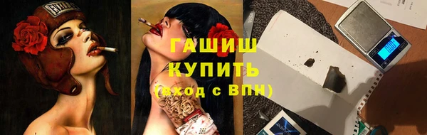 гашик Дмитров