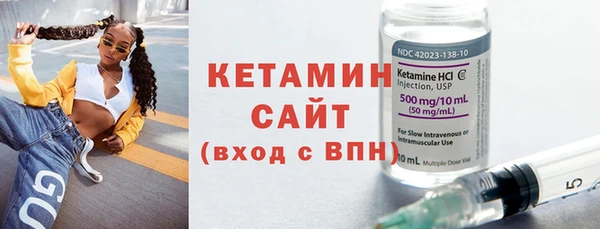 гашик Дмитров