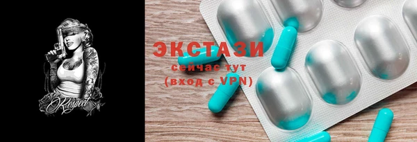 гашик Дмитров