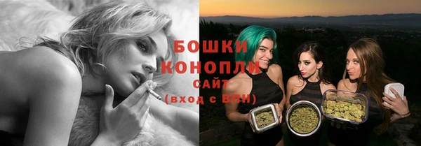 гашик Дмитров