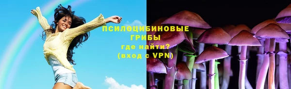 a pvp Дмитриев
