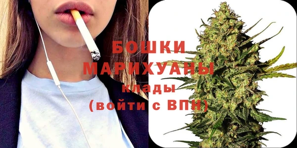 гашик Дмитров