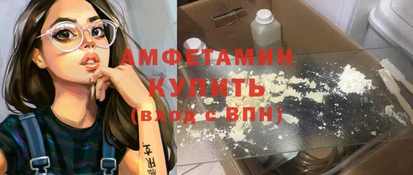 гашик Дмитров